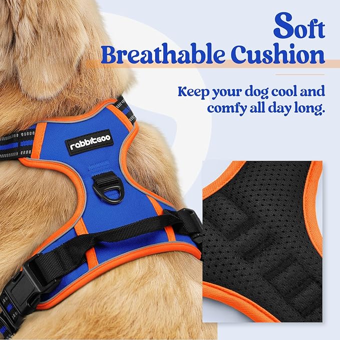 rabbitgoo Dog Harness No Pull with 2 Leash Clips, Adjustable Soft Padded, Reflective Oxford No Choke Pet Vest with Easy Control Handle for Large Dogs, Blue & Orange, XL - PhishStones Products