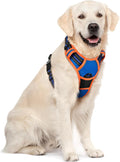 rabbitgoo Dog Harness No Pull with 2 Leash Clips, Adjustable Soft Padded, Reflective Oxford No Choke Pet Vest with Easy Control Handle for Large Dogs, Blue & Orange, XL - PhishStones Products