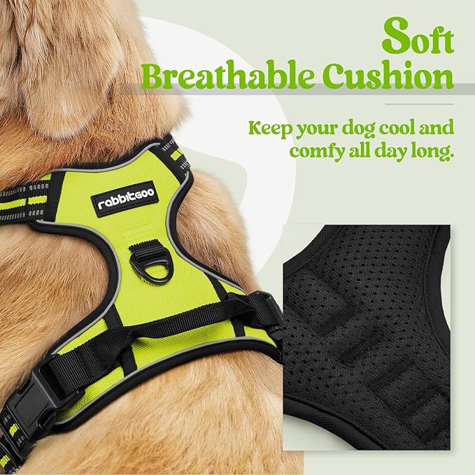 rabbitgoo Dog Harness No Pull with 2 Leash Clips, Adjustable Soft Padded, Reflective Oxford No Choke Pet Vest with Easy Control Handle for Large Dogs, Green, XL - PhishStones Products