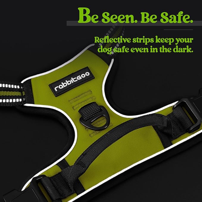 rabbitgoo Dog Harness No Pull with 2 Leash Clips, Adjustable Soft Padded, Reflective Oxford No Choke Pet Vest with Easy Control Handle for Large Dogs, Green, XL - PhishStones Products