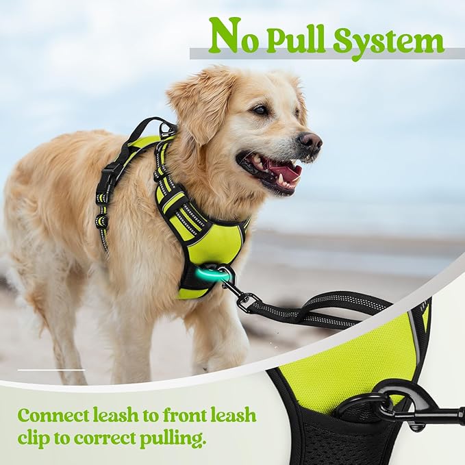 rabbitgoo Dog Harness No Pull with 2 Leash Clips, Adjustable Soft Padded, Reflective Oxford No Choke Pet Vest with Easy Control Handle for Large Dogs, Green, XL - PhishStones Products