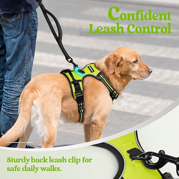 rabbitgoo Dog Harness No Pull with 2 Leash Clips, Adjustable Soft Padded, Reflective Oxford No Choke Pet Vest with Easy Control Handle for Large Dogs, Green, XL - PhishStones Products
