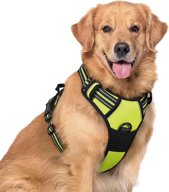 rabbitgoo Dog Harness No Pull with 2 Leash Clips, Adjustable Soft Padded, Reflective Oxford No Choke Pet Vest with Easy Control Handle for Large Dogs, Green, XL - PhishStones Products