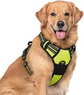 rabbitgoo Dog Harness No Pull with 2 Leash Clips, Adjustable Soft Padded, Reflective Oxford No Choke Pet Vest with Easy Control Handle for Large Dogs, Green, XL - PhishStones Products