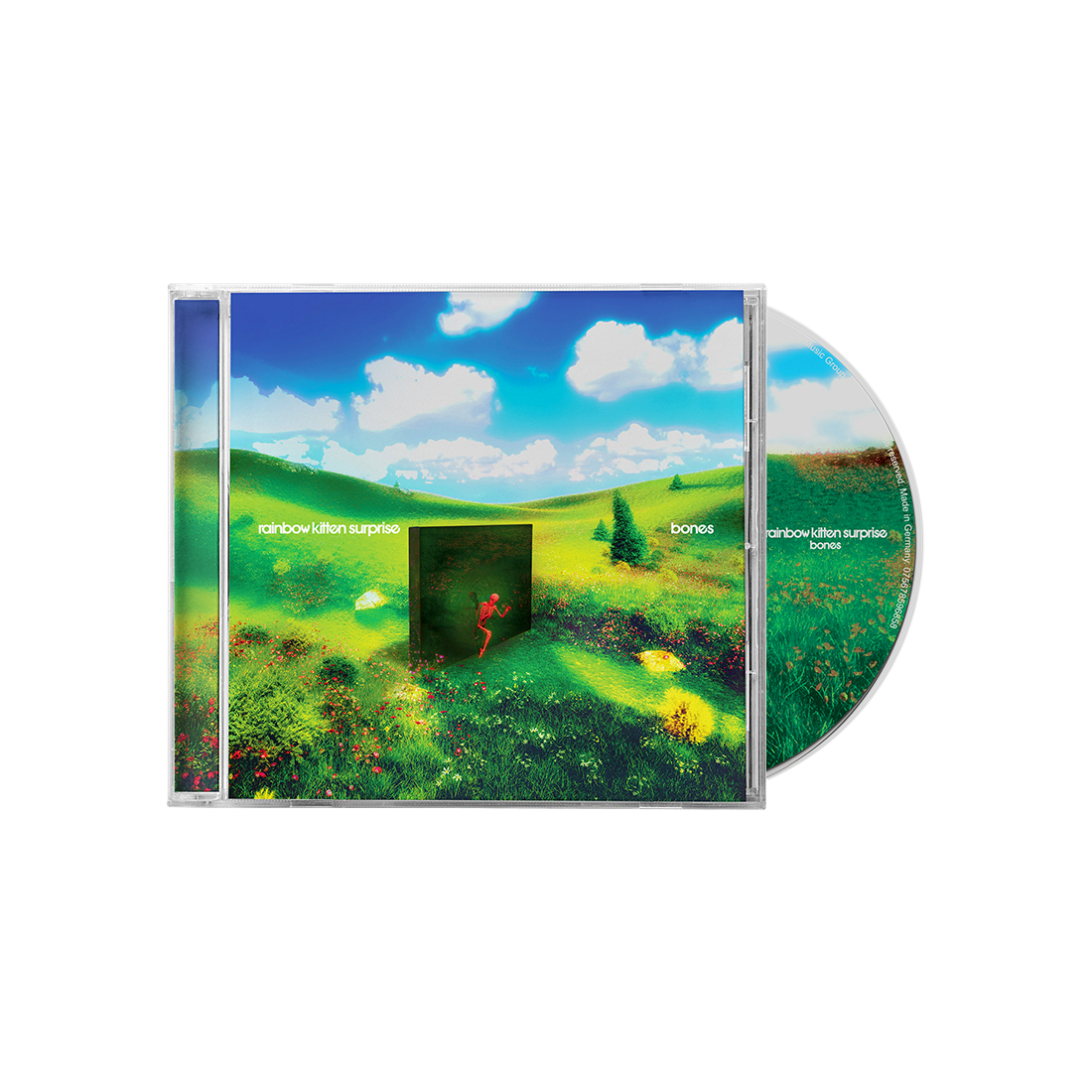 Rainbow Kitten Surprise - Bones (CD) |