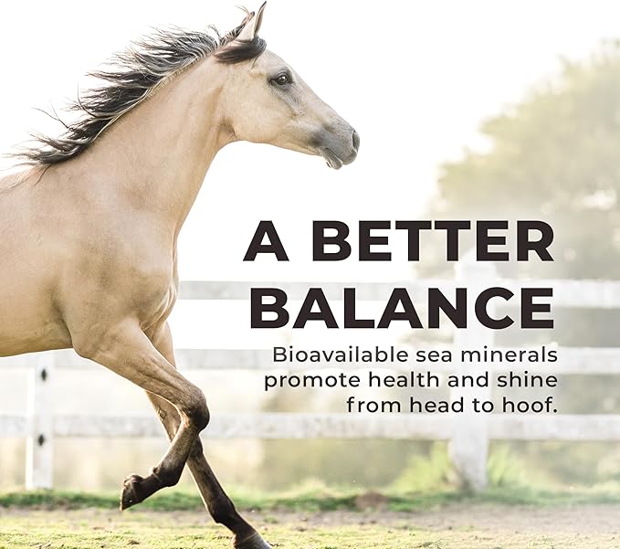 Redmond Daily Red Crushed Garlic | Horse Minerals & Vitamins Supplement | Garlic for Horses - PhishStones Products
