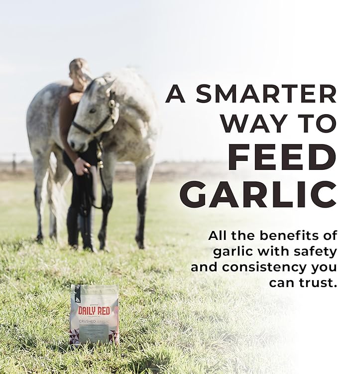 Redmond Daily Red Crushed Garlic | Horse Minerals & Vitamins Supplement | Garlic for Horses - PhishStones Products