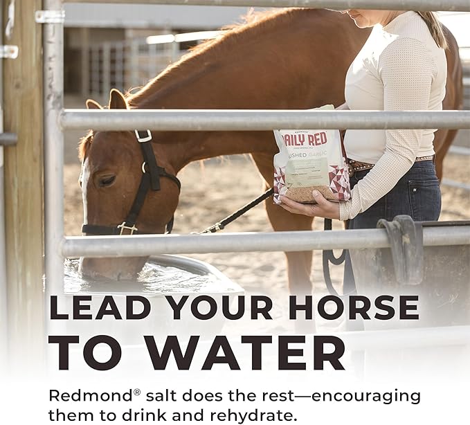Redmond Daily Red Crushed Garlic | Horse Minerals & Vitamins Supplement | Garlic for Horses - PhishStones Products