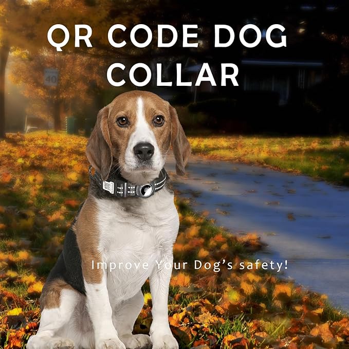 Reflective Dog Collar with Apple AirTag Holder & QR Code Pet ID Tag,Soft Nylon Adjustable Dog Tracker Collar with Safety Lock for Medium Dogs(Black, M) - PhishStones Products