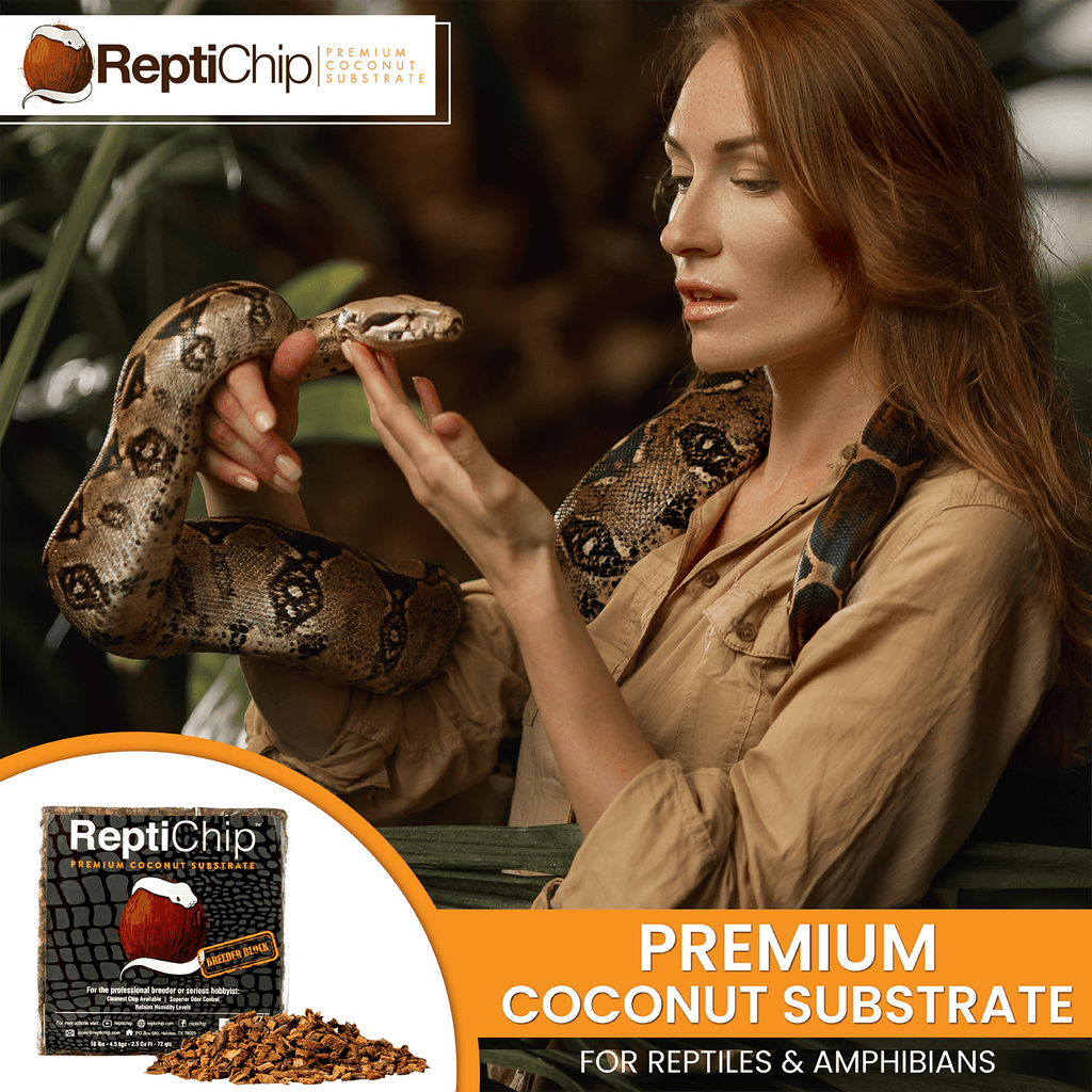ReptiChip Breeder Blocks and Bundles - PhishStones Products