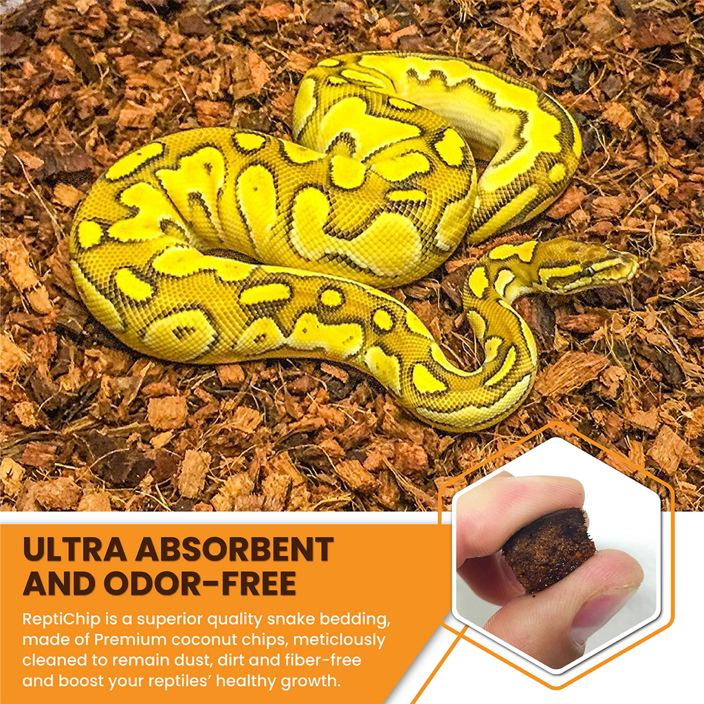 ReptiChip Breeder Blocks and Bundles - PhishStones Products