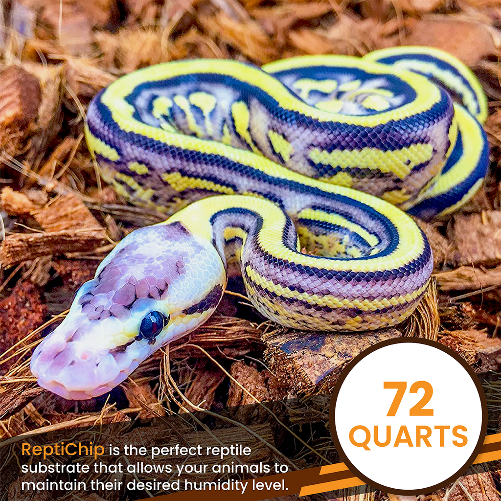 ReptiChip Breeder Blocks and Bundles - PhishStones Products