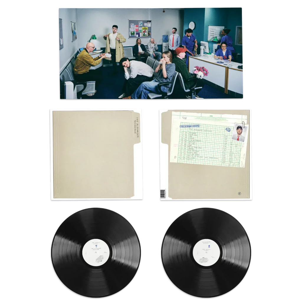 Rex Orange County - The Alexander Technique (Gatefold Lp Jacket, Poster) (2 LP) - PhishStones Products