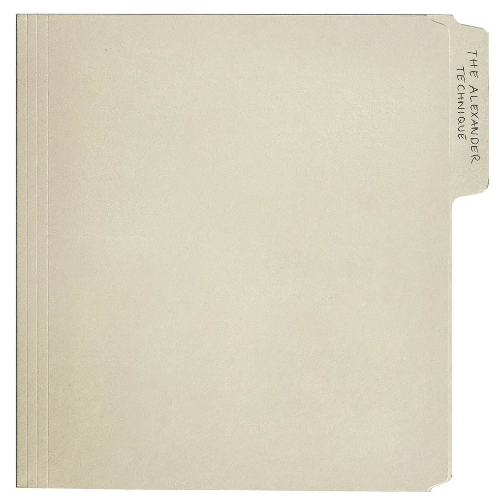 Rex Orange County - The Alexander Technique (Gatefold Lp Jacket, Poster) (2 LP) - PhishStones Products