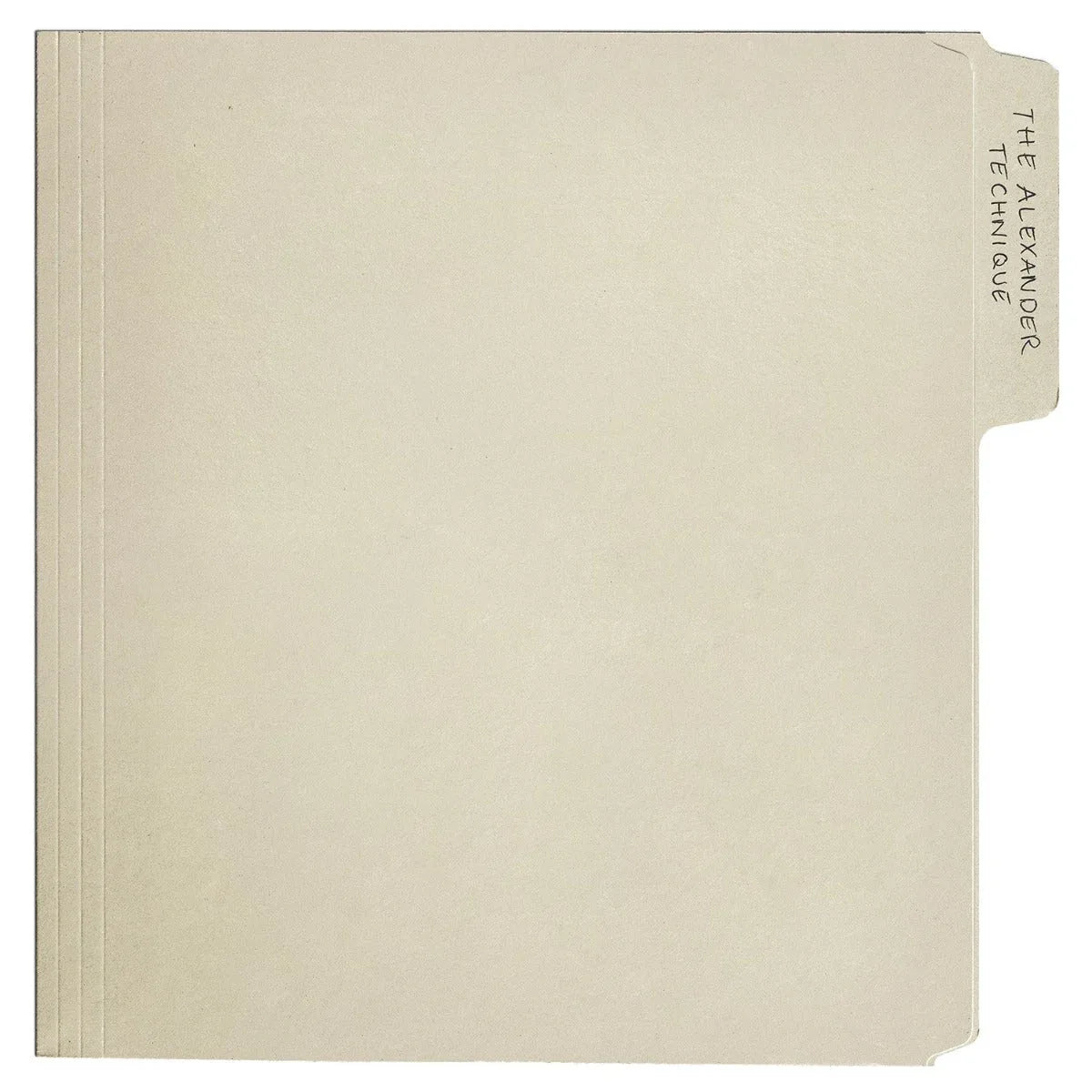 Rex Orange County - The Alexander Technique (Gatefold Lp Jacket, Poster) (2 LP) - PhishStones Products
