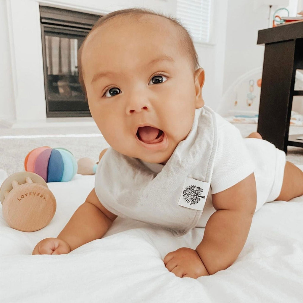Rose Bandana Bib Set (8 pack) - PhishStones Products