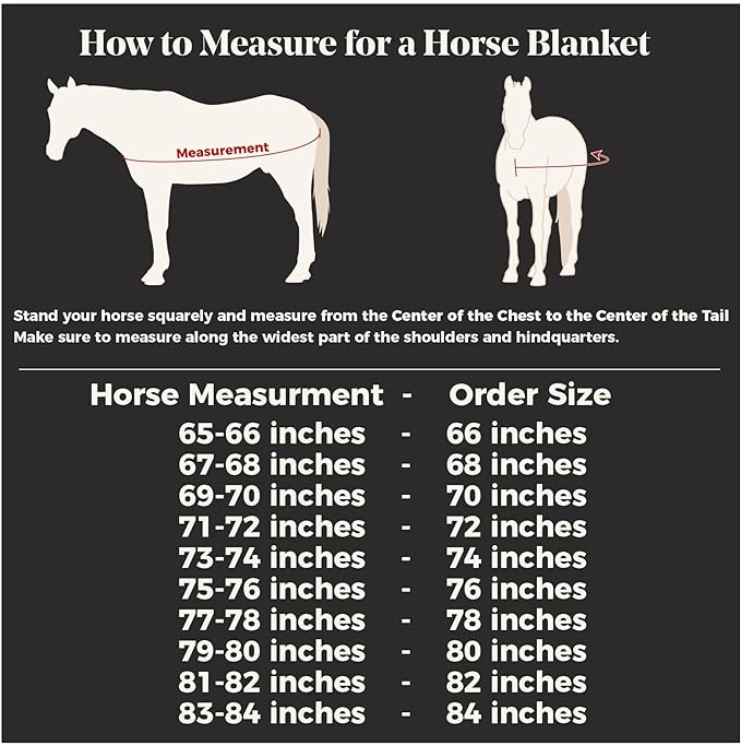 Schneiders Mosquito Mesh II Adjusta - Fit Horse Fly Sheets | Insect & UV Protection for Horses | Durable 350D Mesh | Reflective Safety Stripes - PhishStones Products