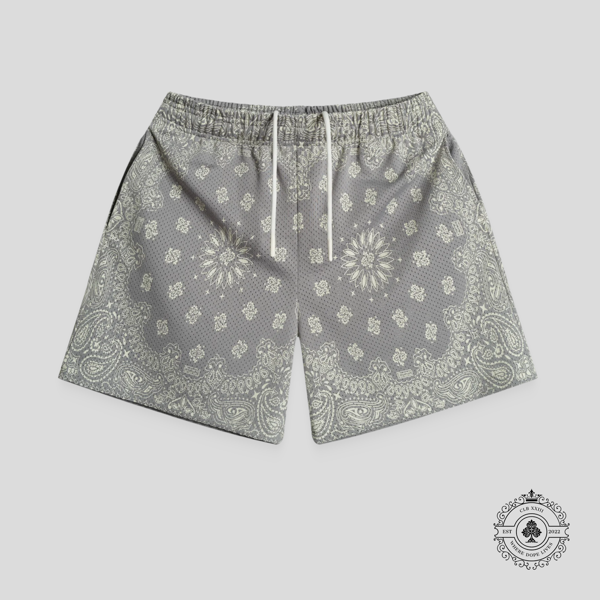 Bravest Studios Concrete Paisley Shorts in Grey