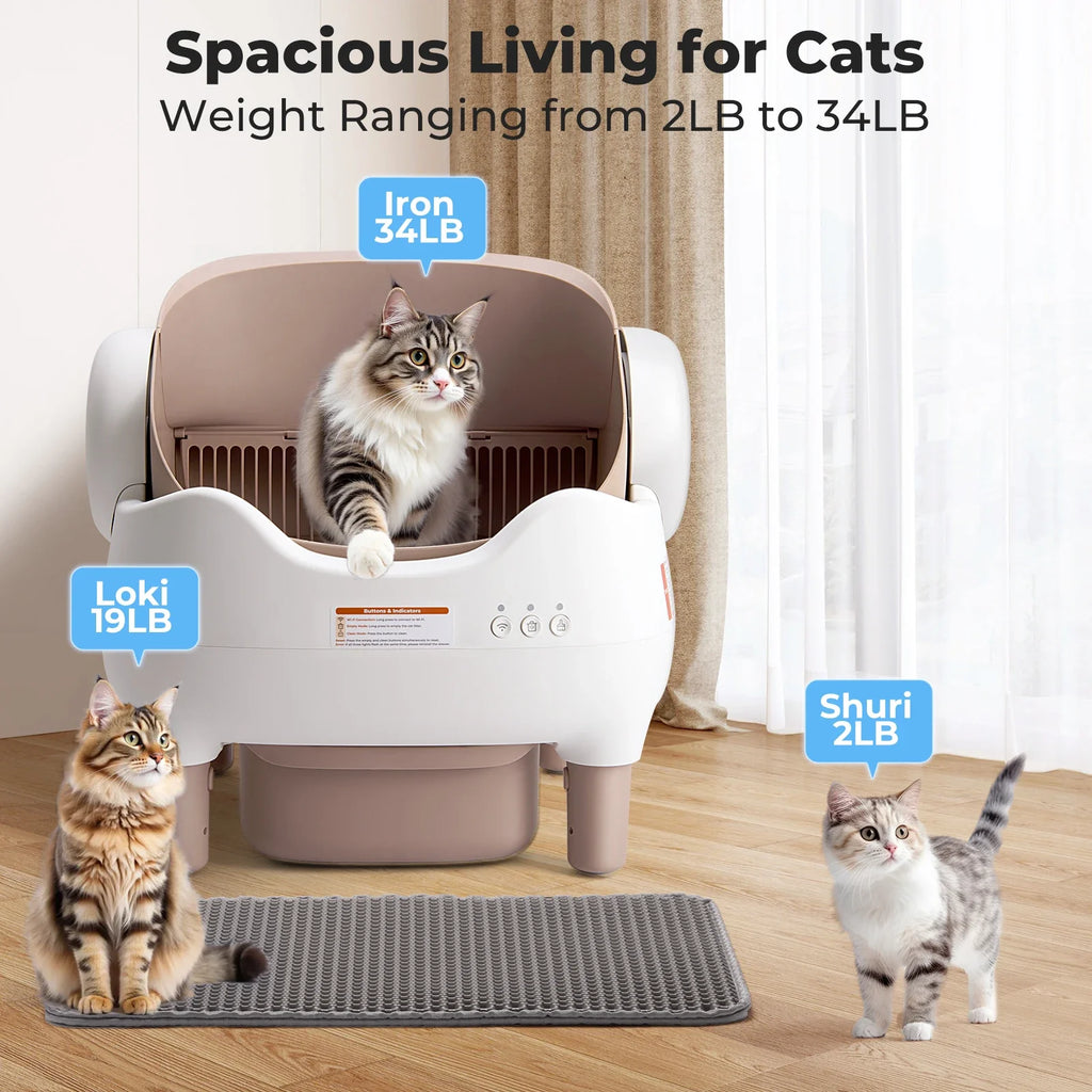 Self - Cleaning Cat Litter Box with App Control — Open - Top Auto Litter Box, 10L Odor - Free Waste Bin, Whisper - Quiet Smart Litter Box for Multi - Cat Homes - PhishStones Products