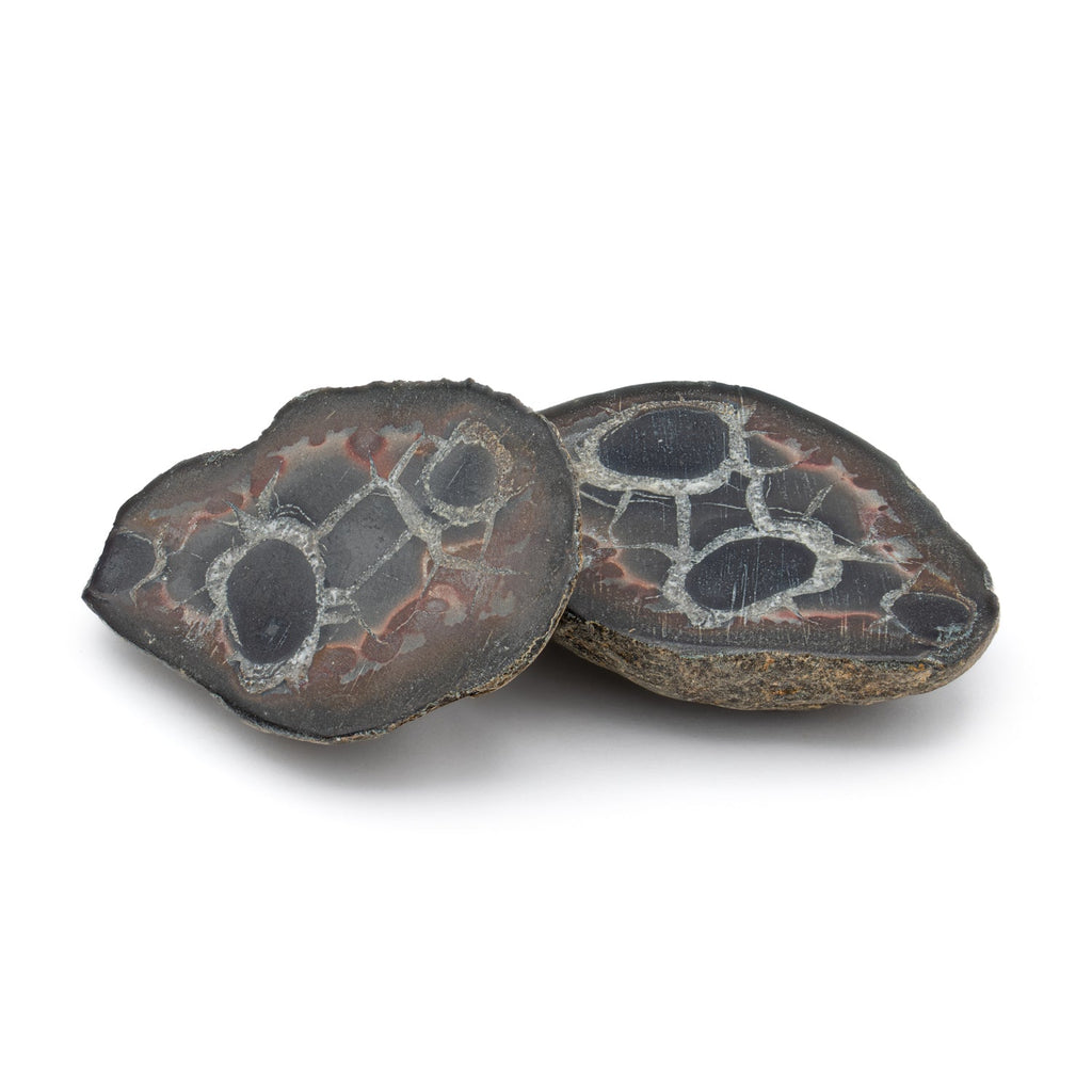Septarian Nodules