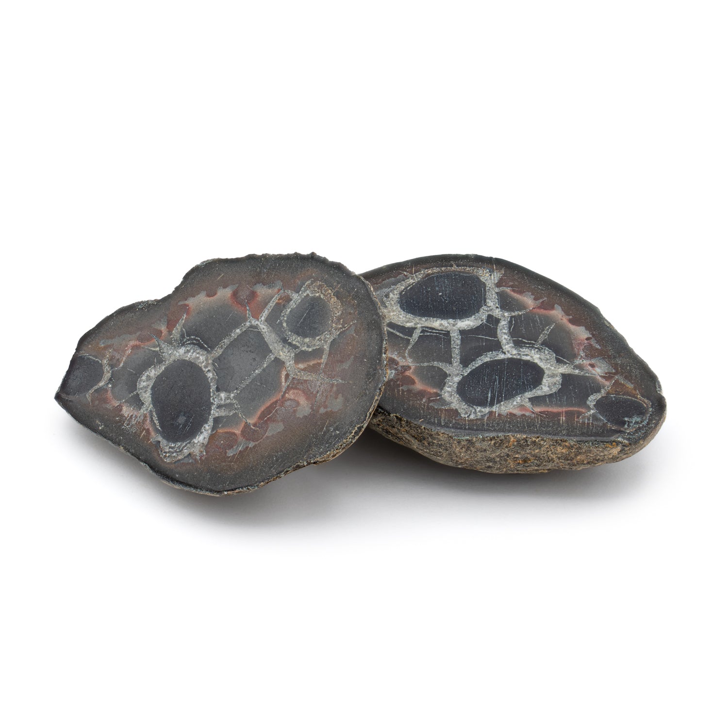 Septarian Nodules