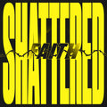 Shattered Faith | Mint (M) Mint (M) - PhishStones Products
