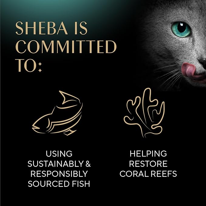 Sheba Gravy Indulgence Adult Wet Cat Food Chicken Entree in Extra Gravy, 2.6 oz. Twin - Pack Trays (24 Count, 48 Servings) - PhishStones Products