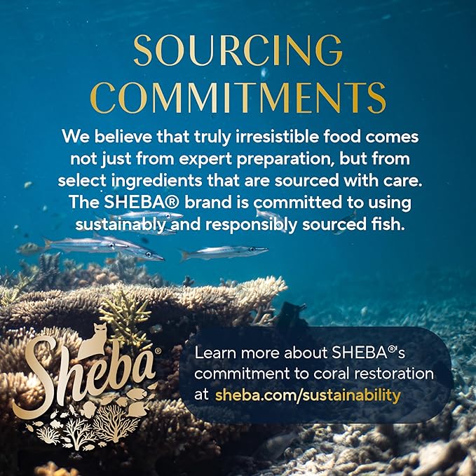Sheba Perfect Portions Wet Cat Food Cuts in Gravy Variety Pack, Roasted Chicken Entree, with Sustainable Salmon, 2.6 oz. Twin - Pack Trays (18 Count, 36 Servings) (Pack of 2) - PhishStones Products
