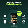 Shilajit Gummies - 90 Gummies - PhishStones Products