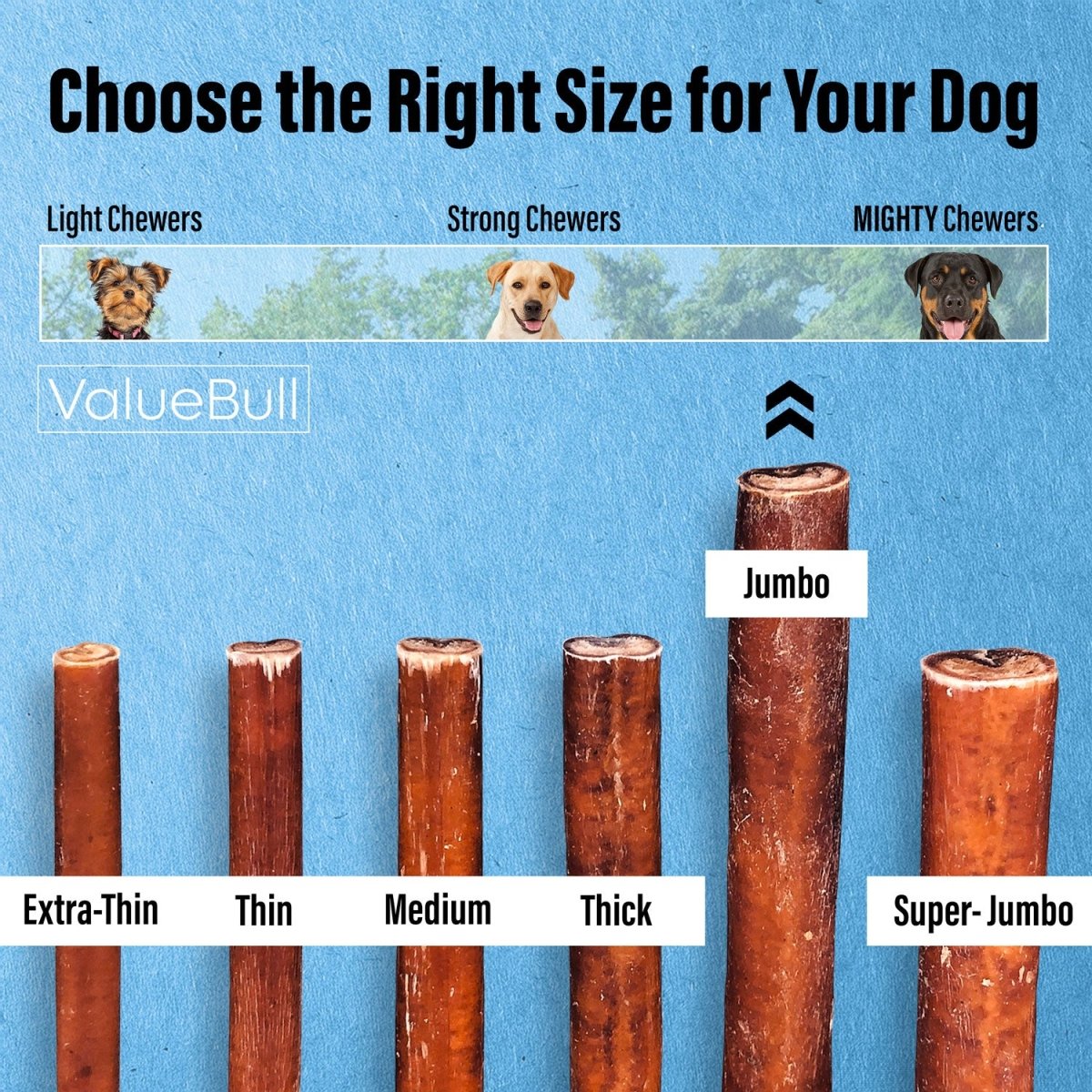 ValueBull Bully Sticks for Large Dogs, Jumbo 6 Inch, 25 Count