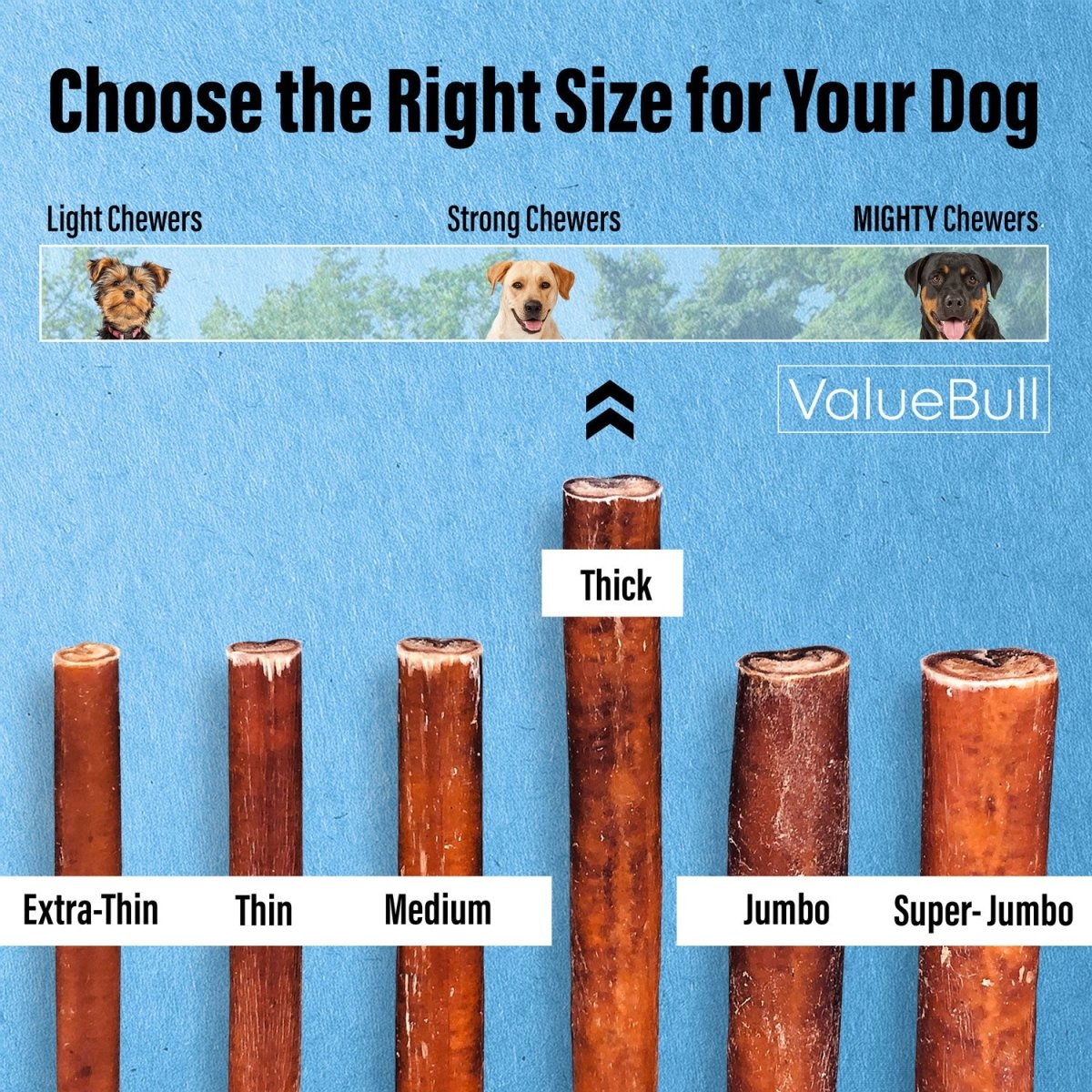 ValueBull Bully Sticks for Large Dogs, Thick 6 Inch, 10 Count