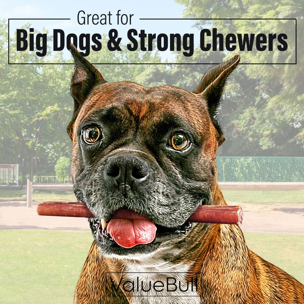 ValueBull Bully Sticks for Large Dogs, Thick 6 Inch, 10 Count