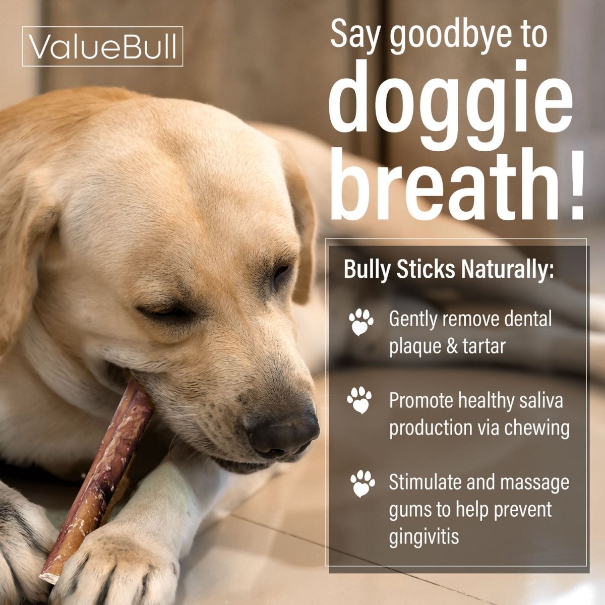 ValueBull Bully Sticks for Large Dogs, Thick 6 Inch, 10 Count