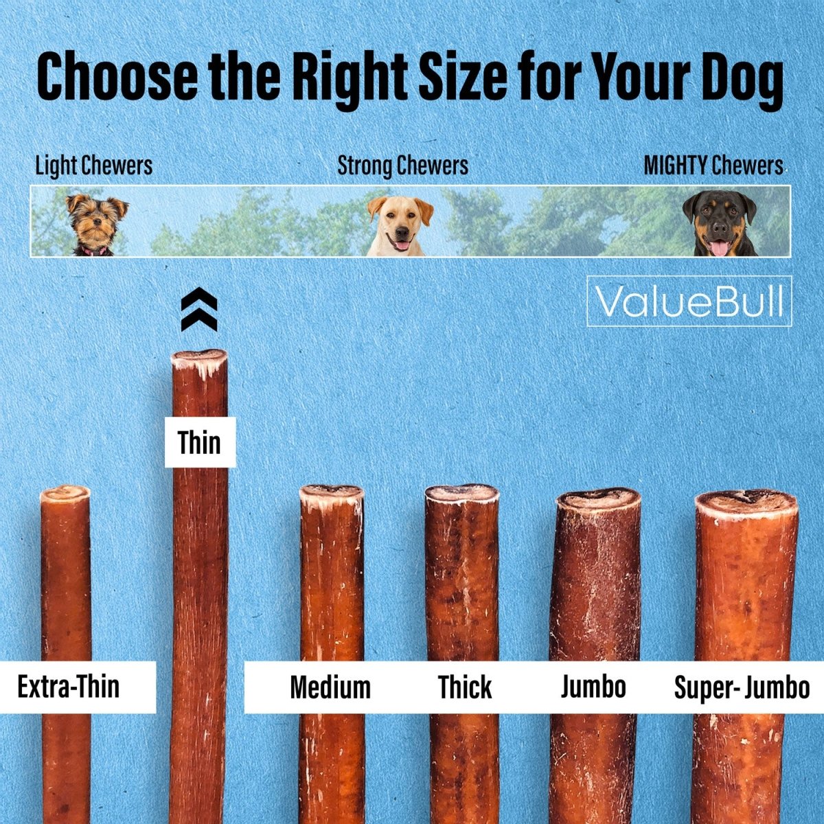 ValueBull Bully Sticks for Small Dogs, Thin 12 Inch, 25 Count