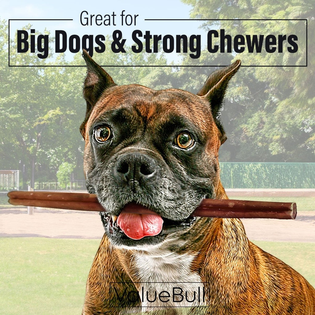 ValueBull Bully Sticks for Large Dogs, Thick 12 Inch, 50 Count
