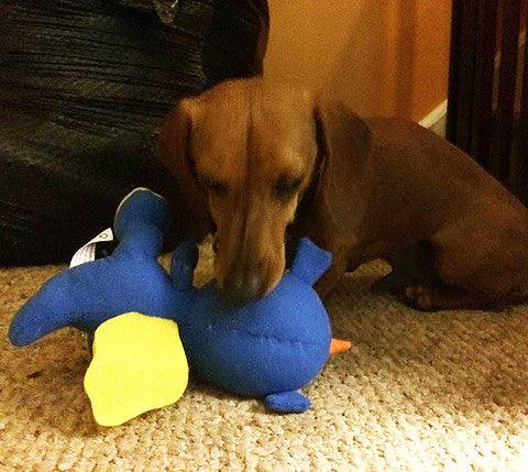 Small Stuffed NO SQUEAK Quiet Zone Dog Toys for Dogs 10-30 lbs.