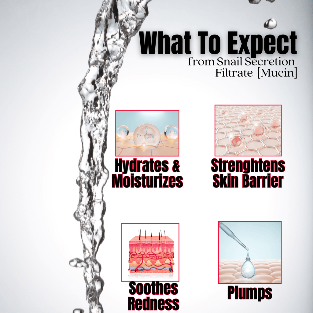 Snail Mucin 98 Power Bomb Essence - PhishStones Products