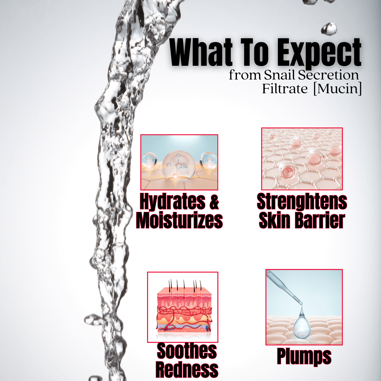 Snail Mucin 98 Power Bomb Essence - PhishStones Products