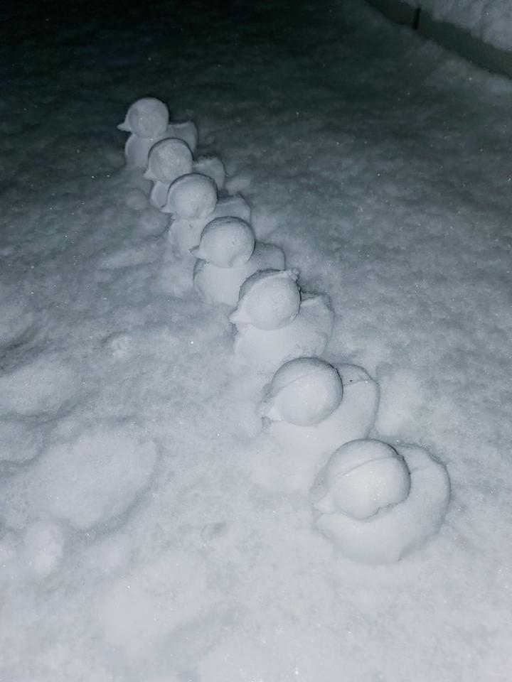 Snow Duck Maker (Rm's Pick)