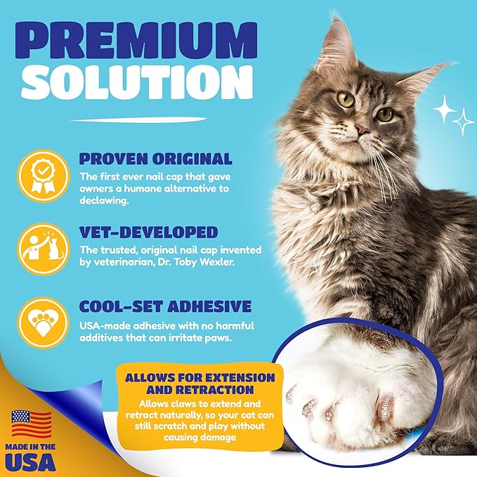 Soft Claws Cat Nail Caps for Large Cats – (40 Caps, Black & Gold) - Made in USA - Veterinarian - Developed | Protects Furniture & Skin - Easy to Apply, Long - Lasting Anti - Scratch Soft Cat Claw Covers - PhishStones Products