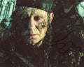 Stellan Skarsgard Signed 8x10 Photo - Video Proof