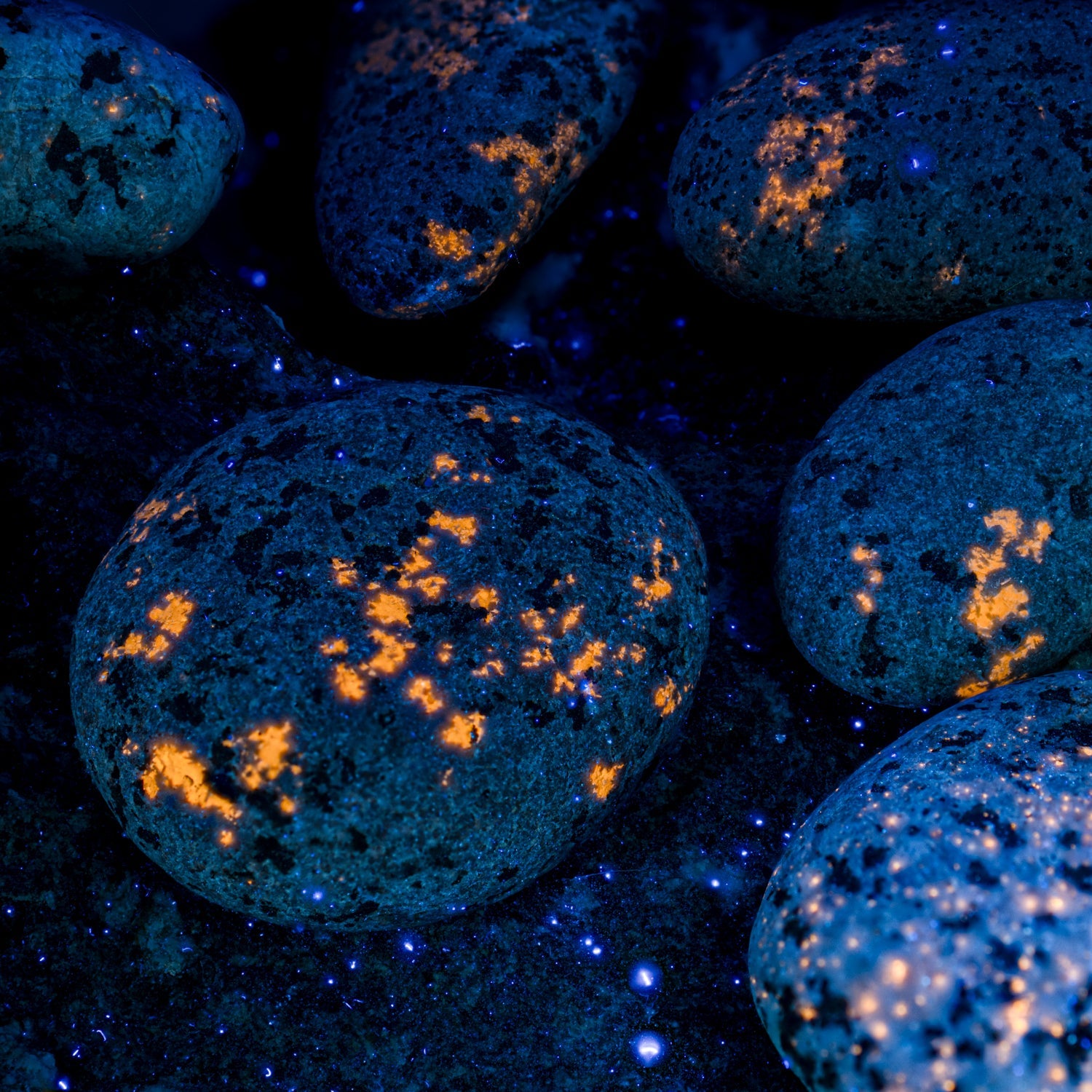Shining Syenite - UV Glow Rocks