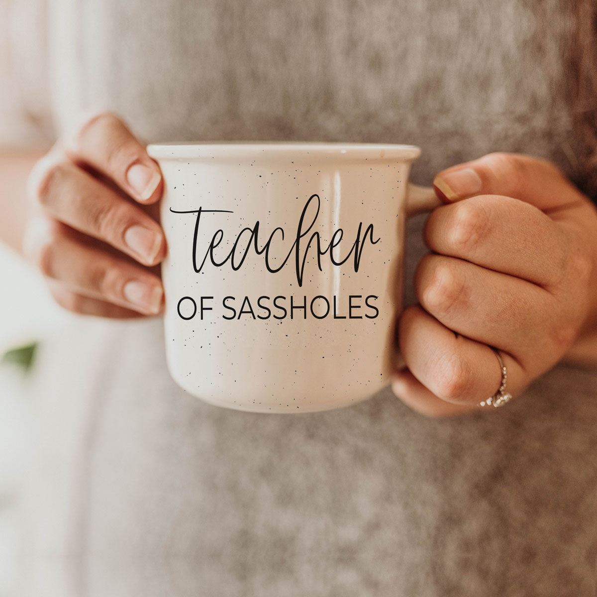 Teacher of Sassholes