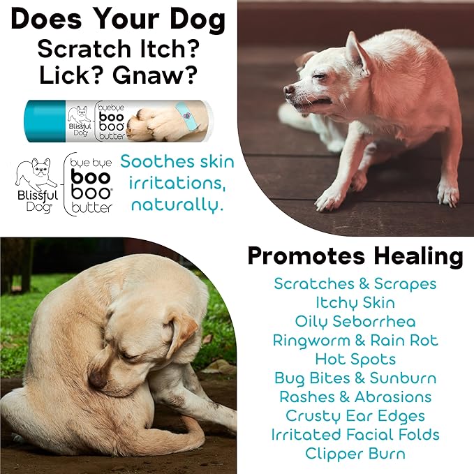 The Blissful Dog .50 oz Tube Weimaraner Booboo Butter - PhishStones Products