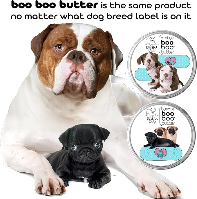 The Blissful Dog .50 oz Tube Weimaraner Booboo Butter - PhishStones Products