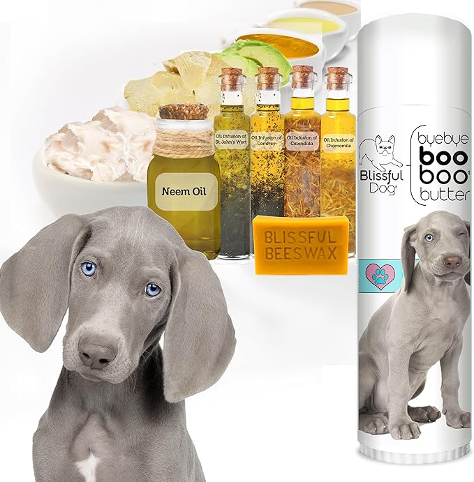 The Blissful Dog .50 oz Tube Weimaraner Booboo Butter - PhishStones Products