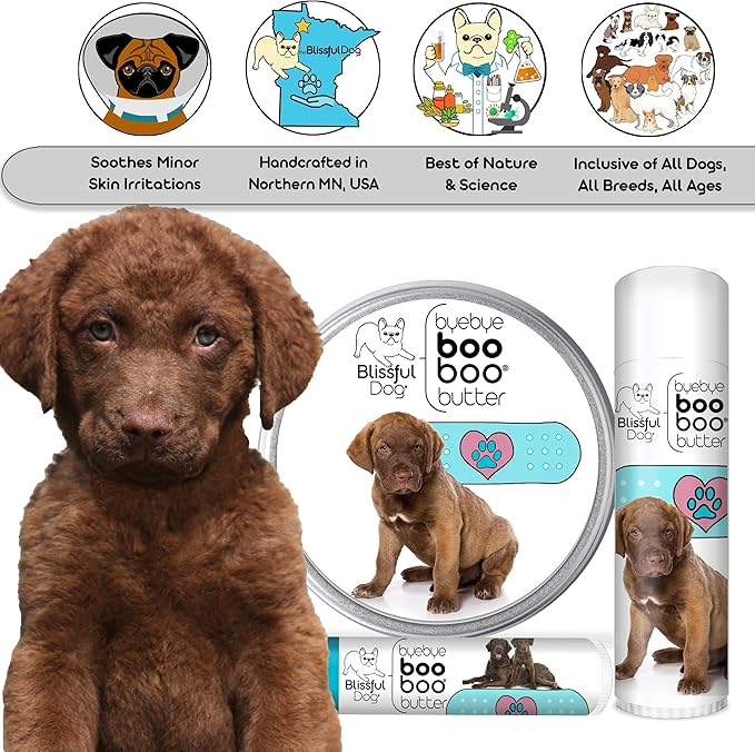 The Blissful Dog Chesapeake Bay Retriever Boo Boo Butter, 0.50 - Ounce - PhishStones Products