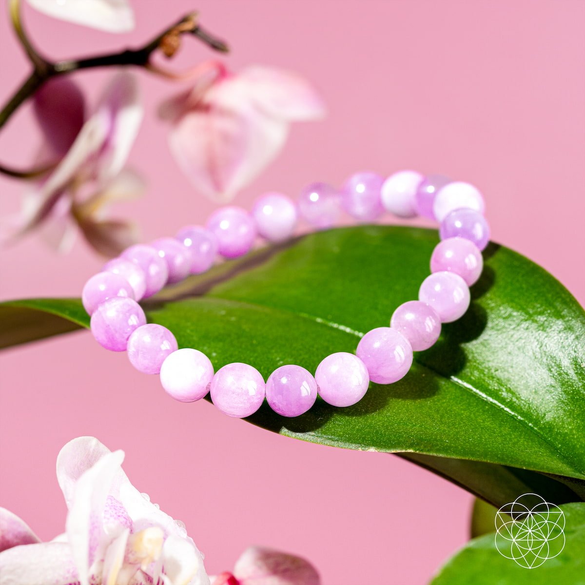 The Heart Reset - Rare Pink Kunzite Bracelet - PhishStones Products