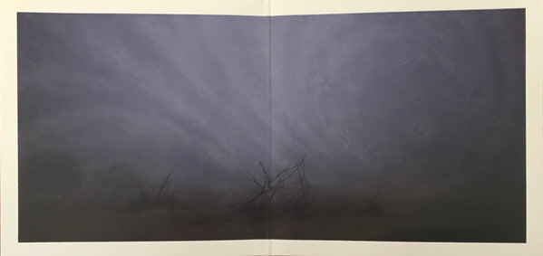 The Spiral Arm | Mint (M) Mint (M) - PhishStones Products