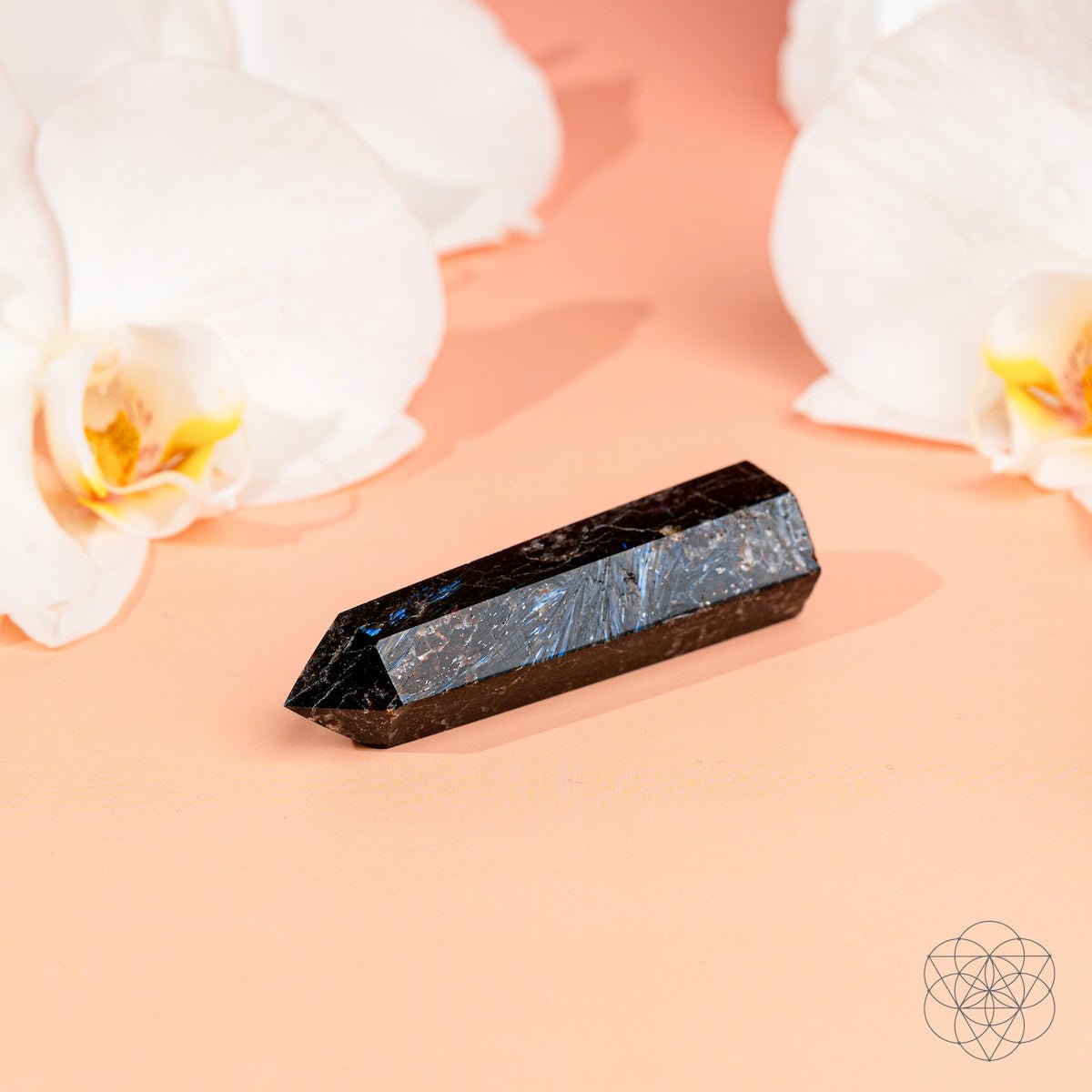 This Is Your Breakthrough – Rare Arfvedsonite Point - PhishStones Products